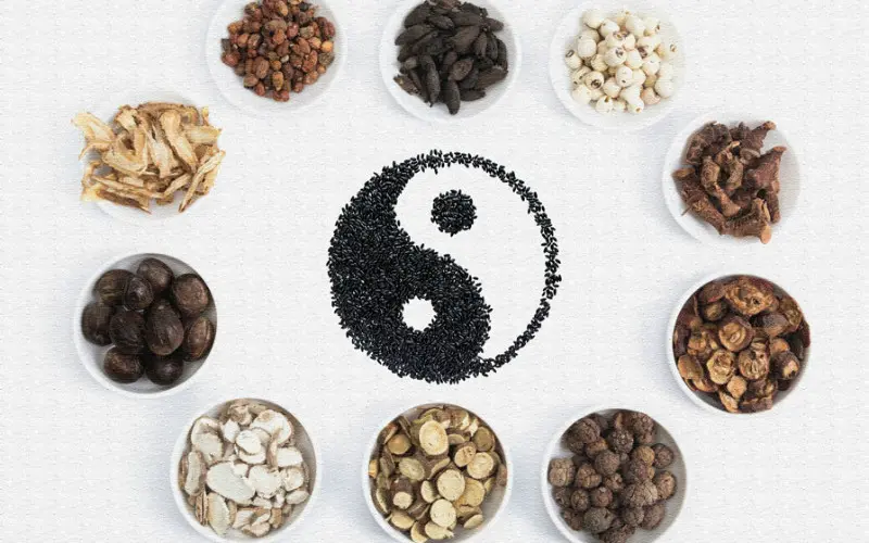 All About Traditional Chinese Medicine