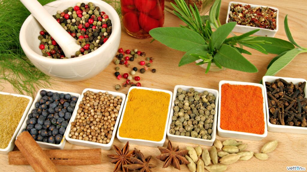 Ayurvedic Medicines – A Safe And Reliable Alternative To Modern Drugs